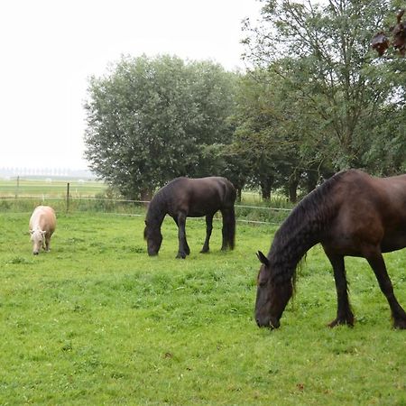 Apartment Het Friesche Paard Purmer Kültér fotó