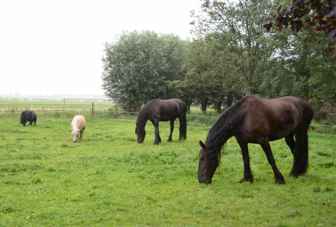 Apartment Het Friesche Paard Purmer Kültér fotó