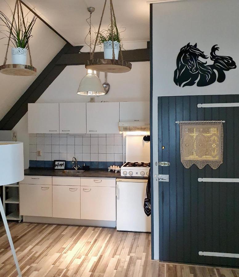 Apartment Het Friesche Paard Purmer Kültér fotó